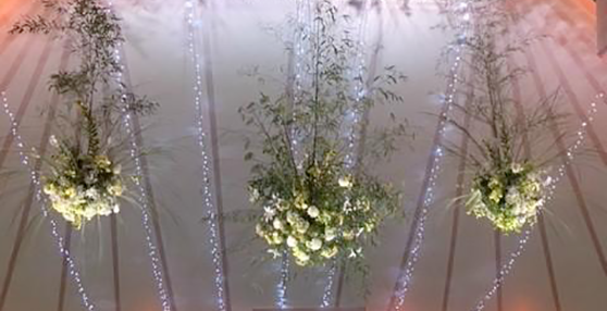 Guirlandes leds Guirlandes leds